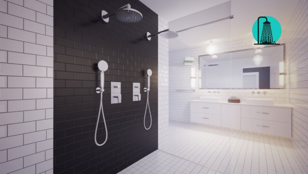 Walk-In Shower: Walk-In Shower with Dual Showerheads